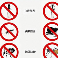 办公室虫控服务